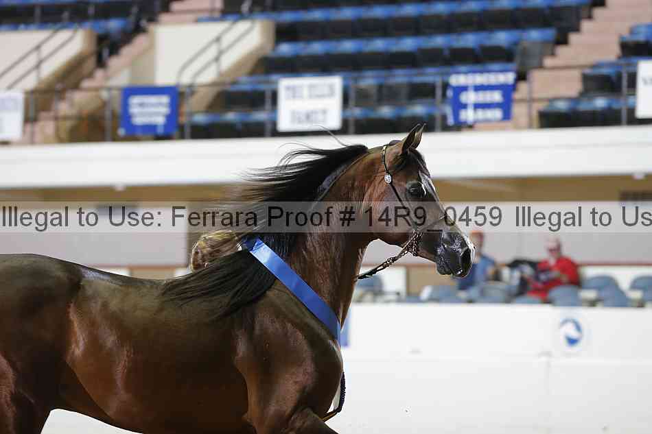 Proof 14r9_0459