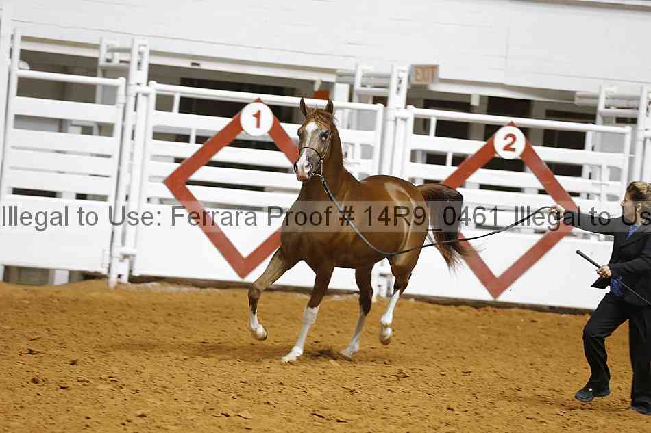 Proof 14r9_0461