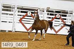 14r9_0461 proof