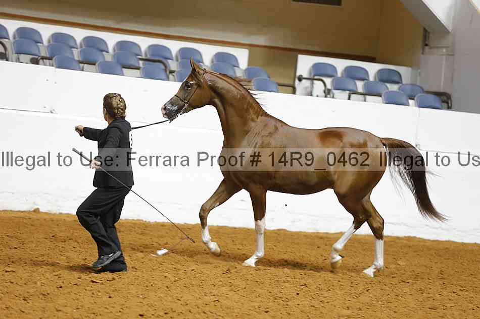 Proof 14r9_0462