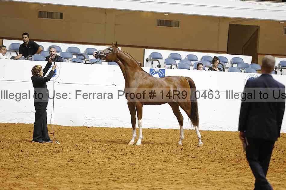 Proof 14r9_0463