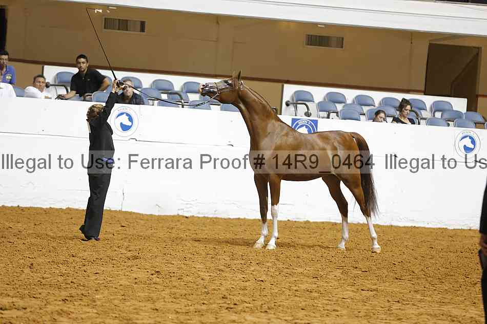 Proof 14r9_0464