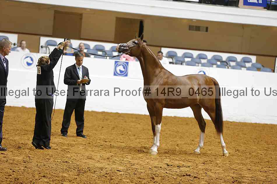 Proof 14r9_0465