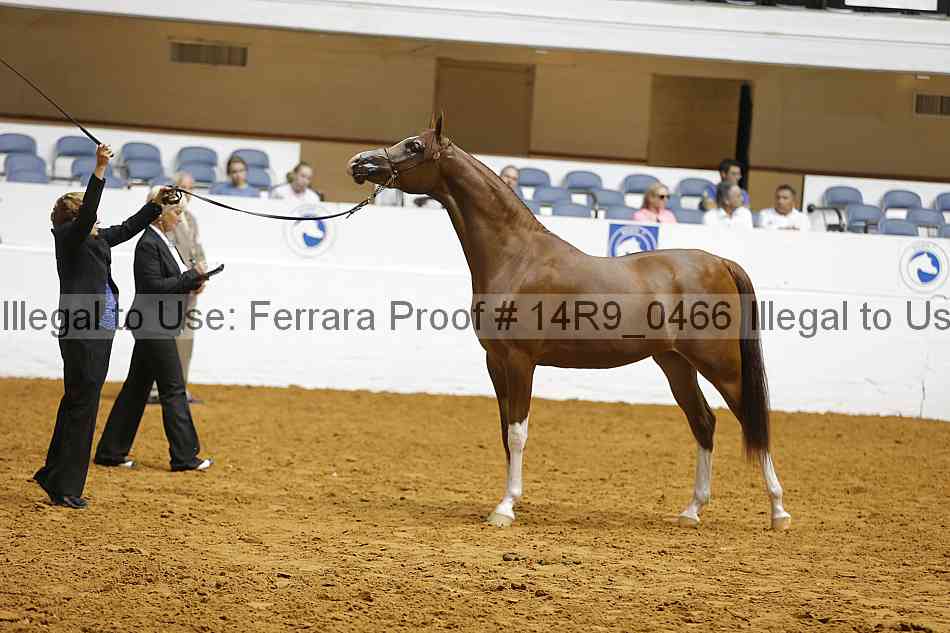 Proof 14r9_0466