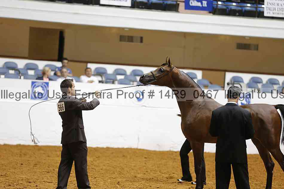 Proof 14r9_0467