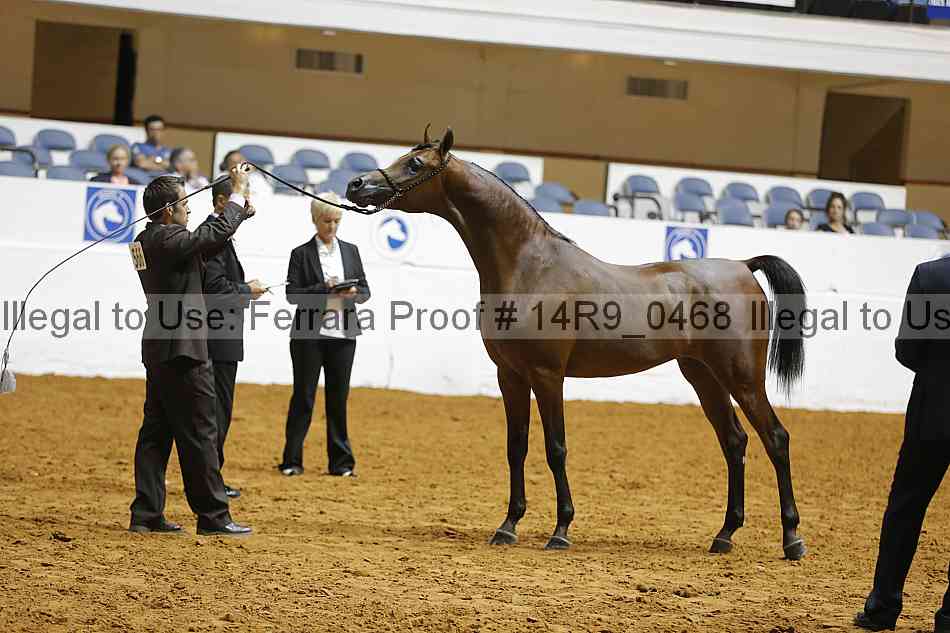 Proof 14r9_0468