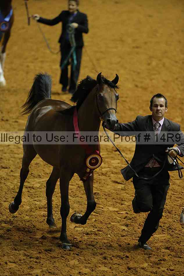 Proof 14r9_0475
