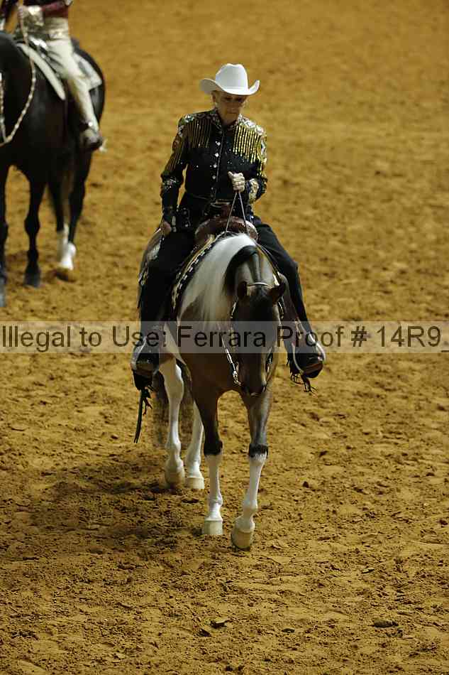 Proof 14r9_0493