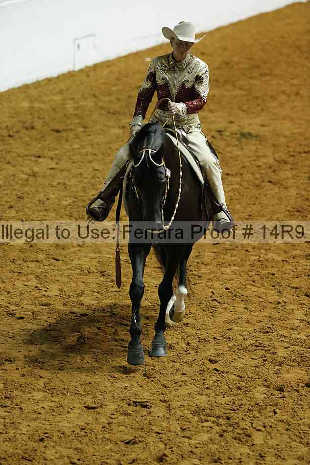 Proof 14r9_0496