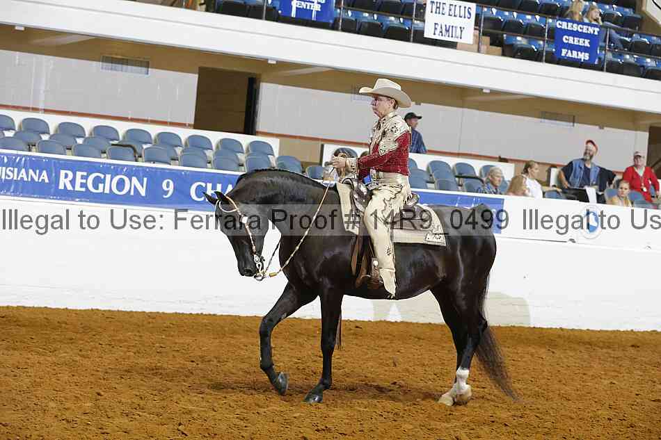 Proof 14r9_0499