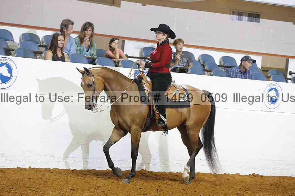 Proof 14r9_0509