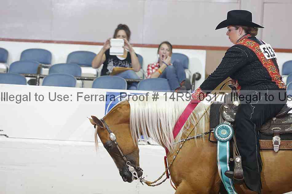 Proof 14r9_0517