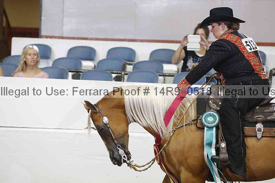 Proof 14r9_0518