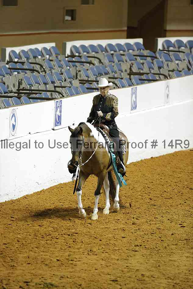 Proof 14r9_0528