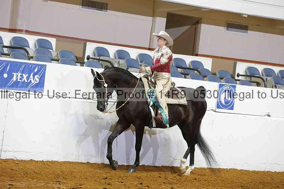 Proof 14r9_0530
