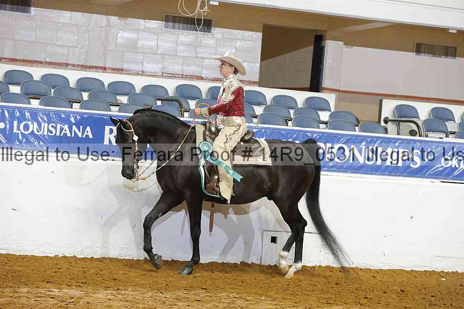 Proof 14r9_0531