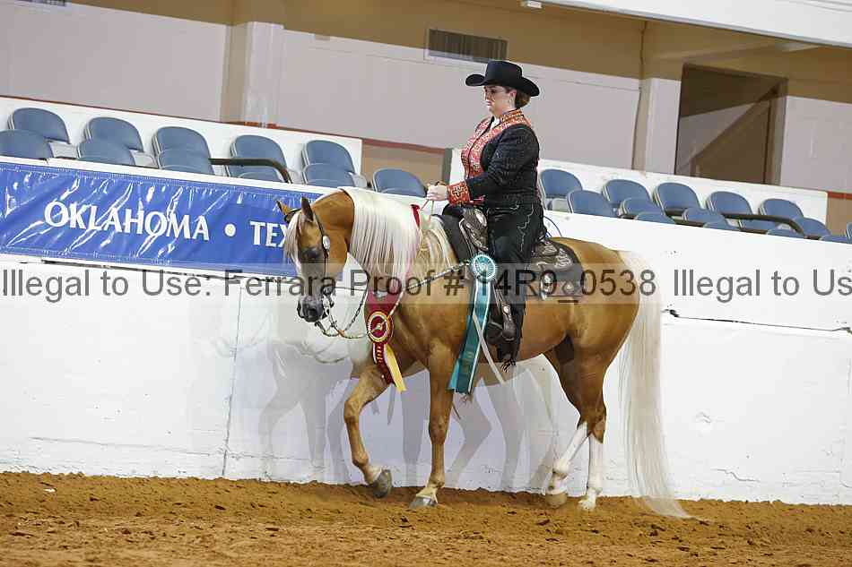 Proof 14r9_0538