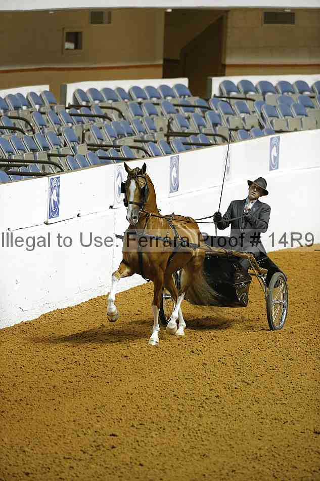 Proof 14r9_0551