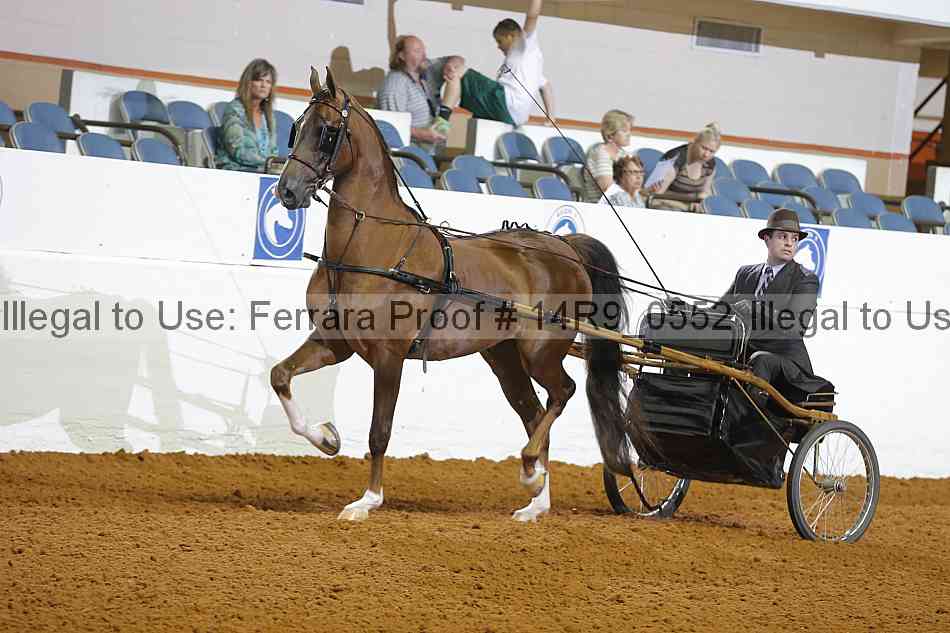 Proof 14r9_0552