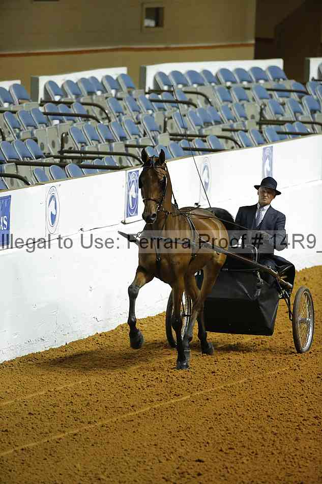 Proof 14r9_0554