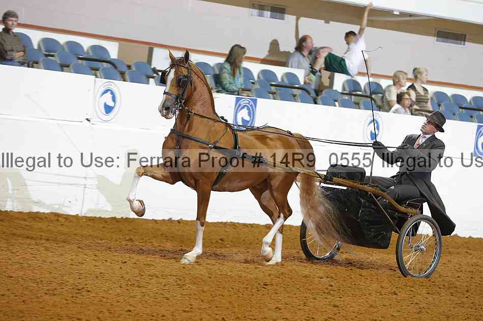 Proof 14r9_0555