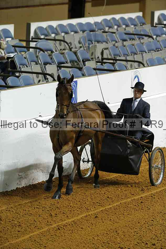 Proof 14r9_0556