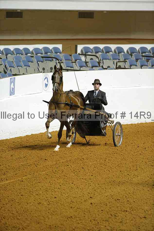 Proof 14r9_0558