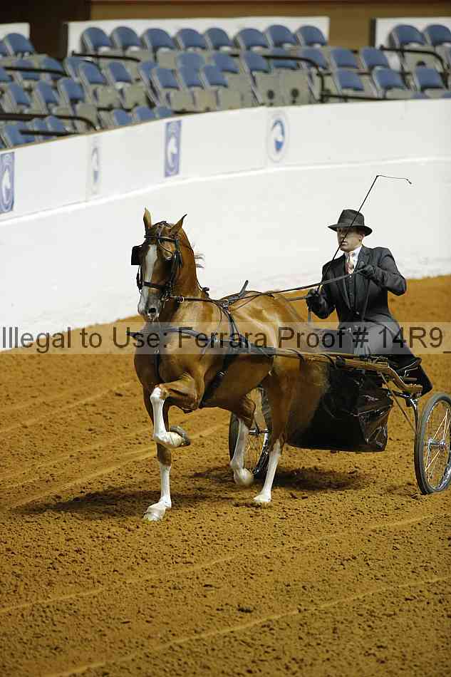 Proof 14r9_0559