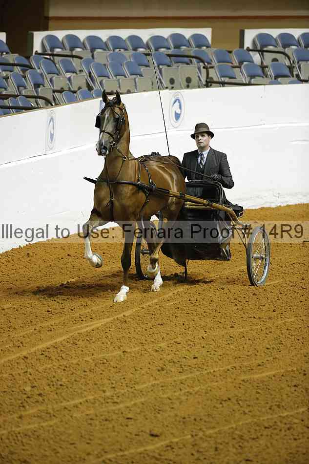 Proof 14r9_0560