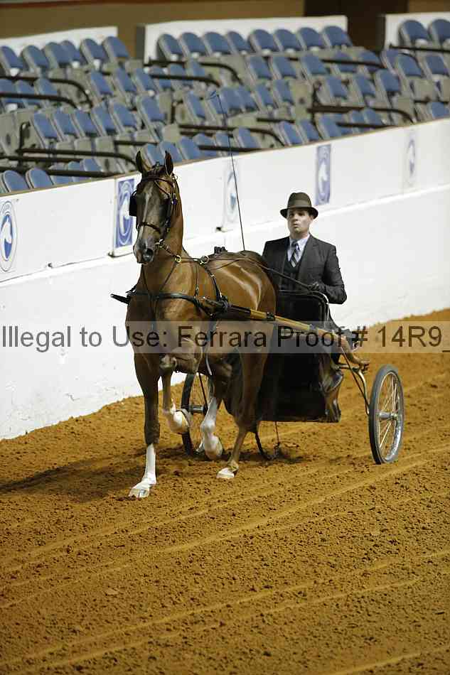 Proof 14r9_0561