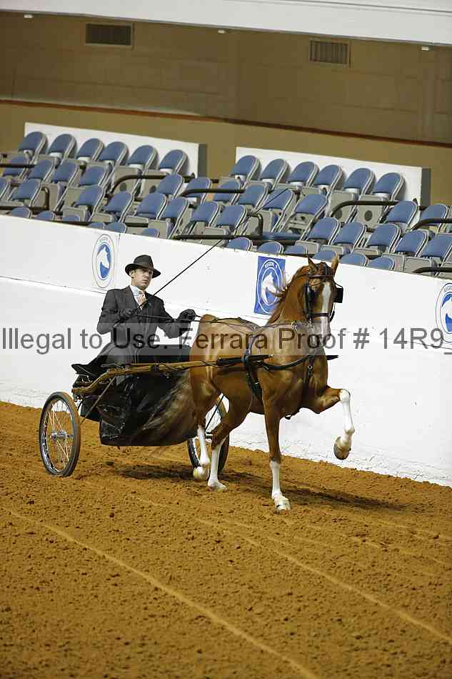 Proof 14r9_0562