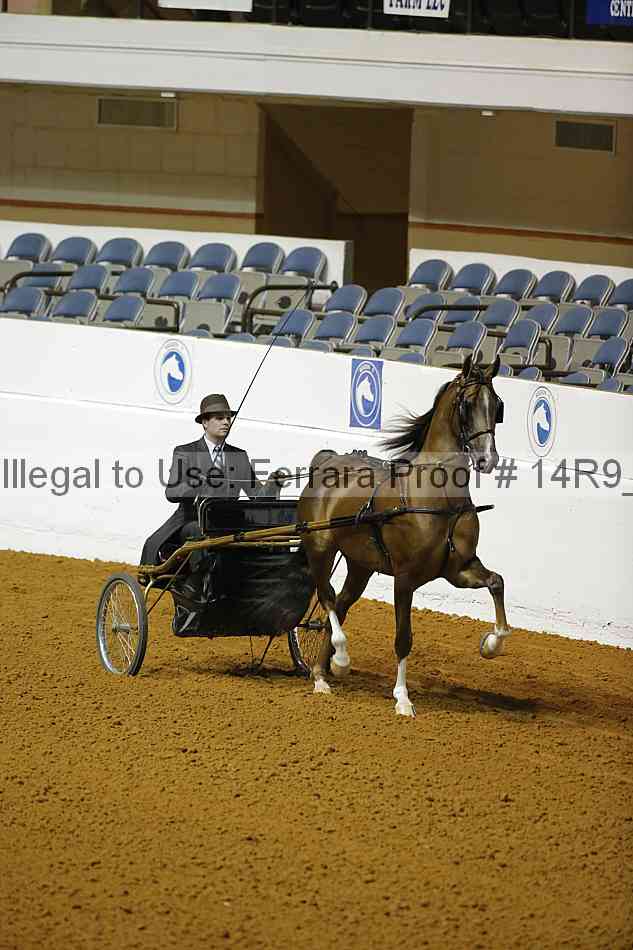 Proof 14r9_0563