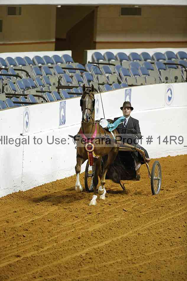 Proof 14r9_0570