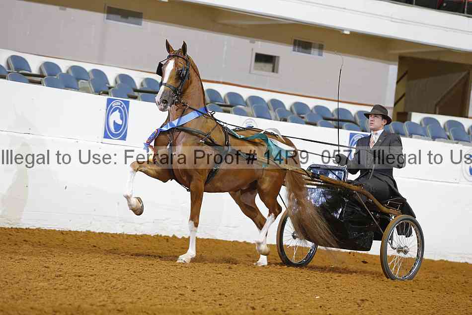 Proof 14r9_0571