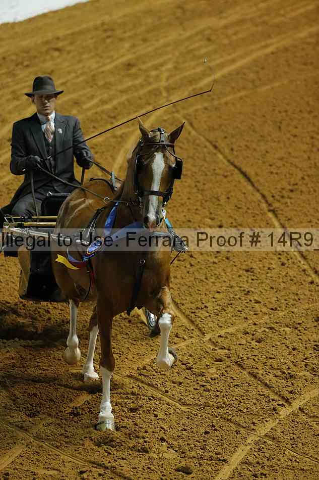 Proof 14r9_0576