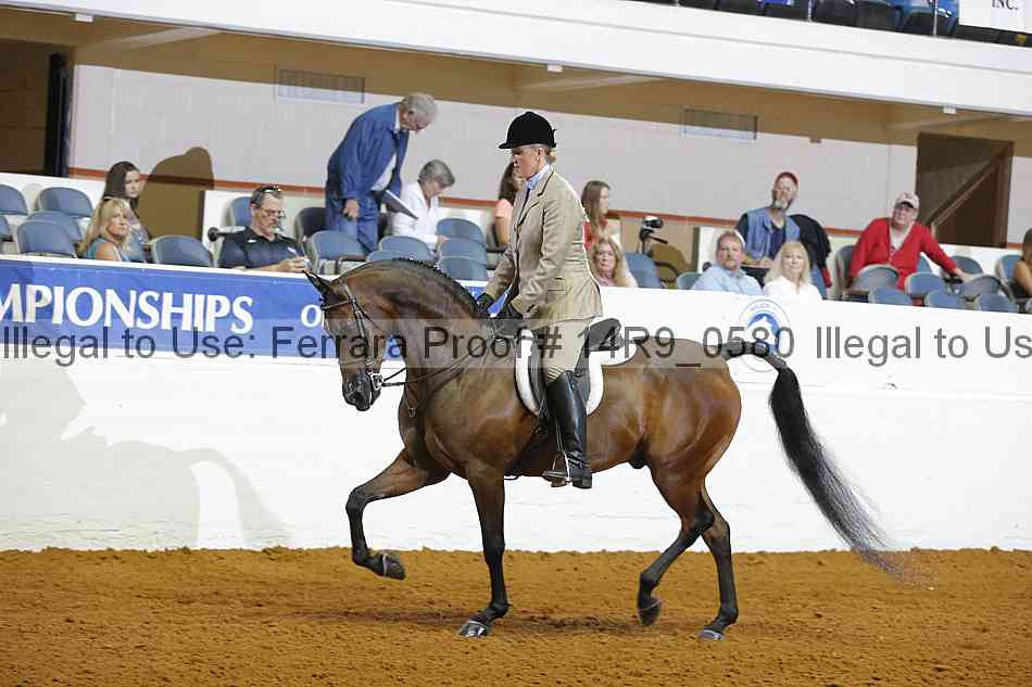 Proof 14r9_0580