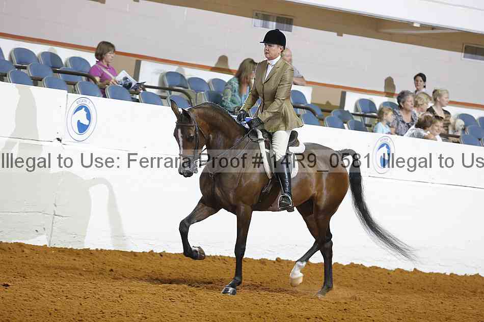 Proof 14r9_0581