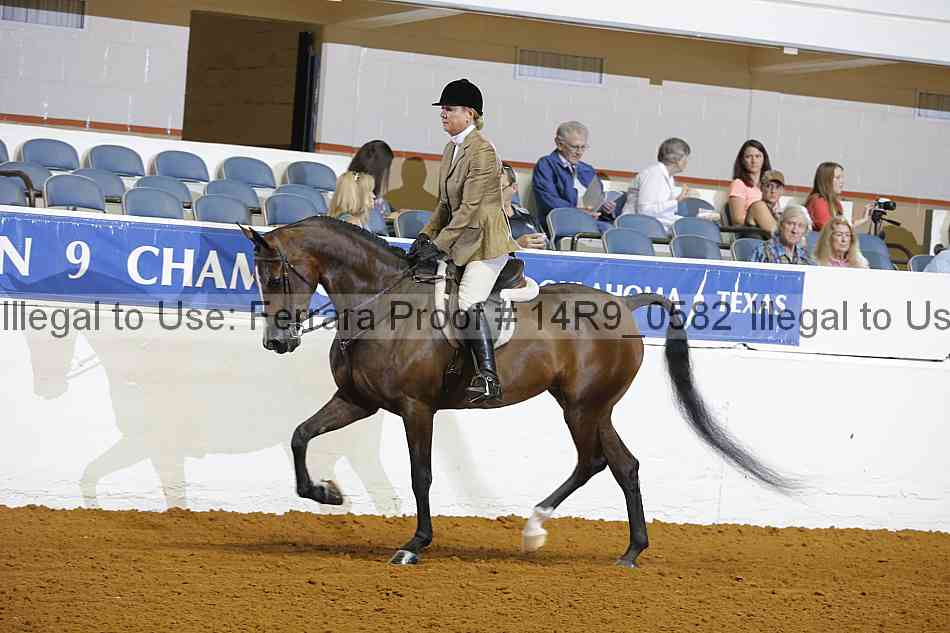Proof 14r9_0582