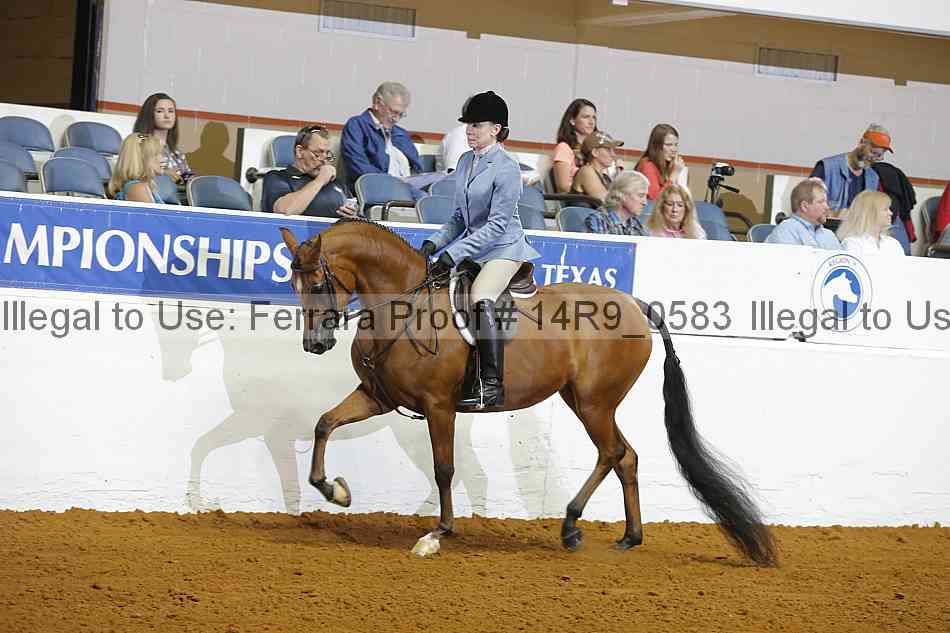 Proof 14r9_0583