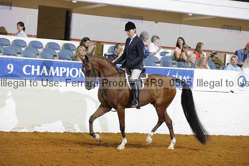 Proof 14r9_0585