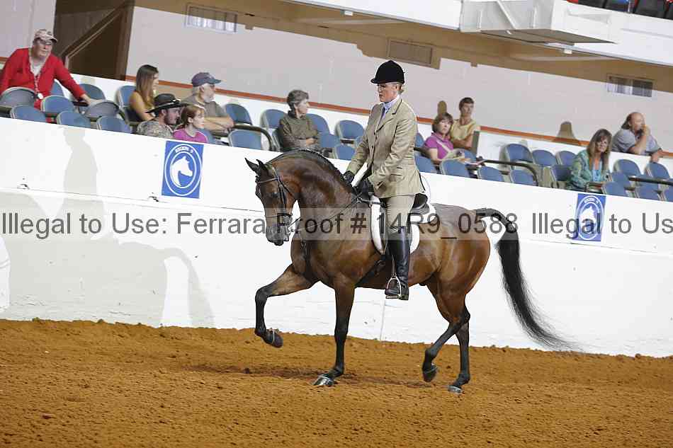 Proof 14r9_0588