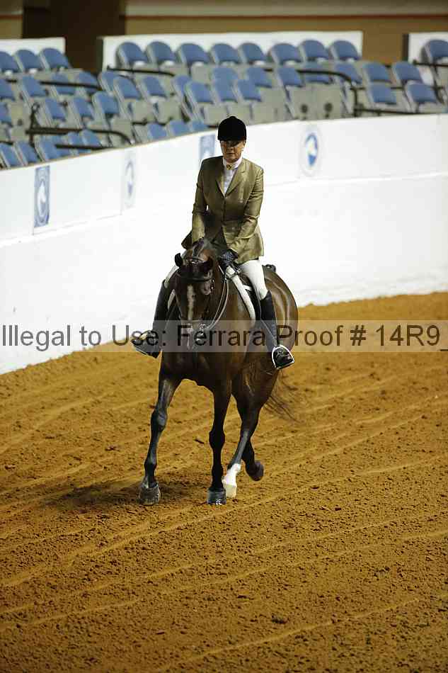 Proof 14r9_0589