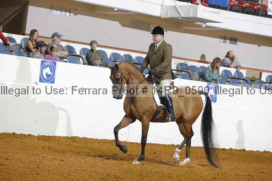 Proof 14r9_0590