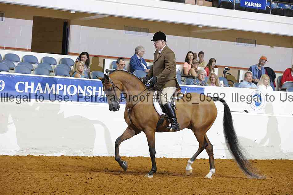 Proof 14r9_0592