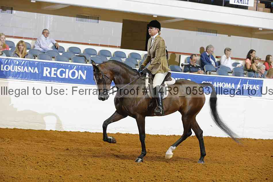 Proof 14r9_0593