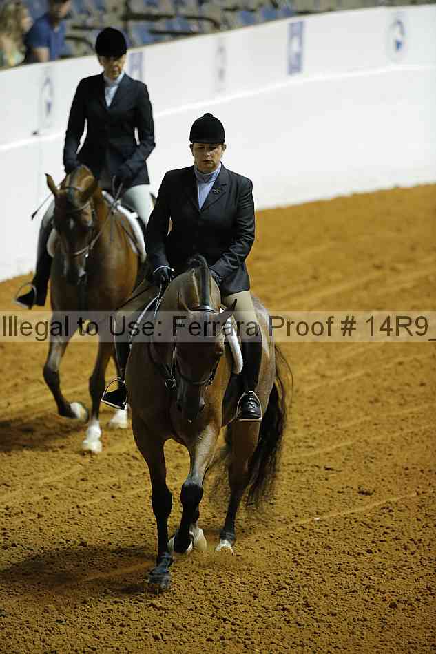 Proof 14r9_0595