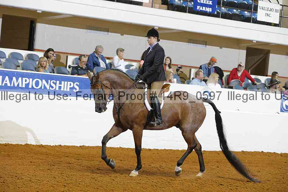 Proof 14r9_0597
