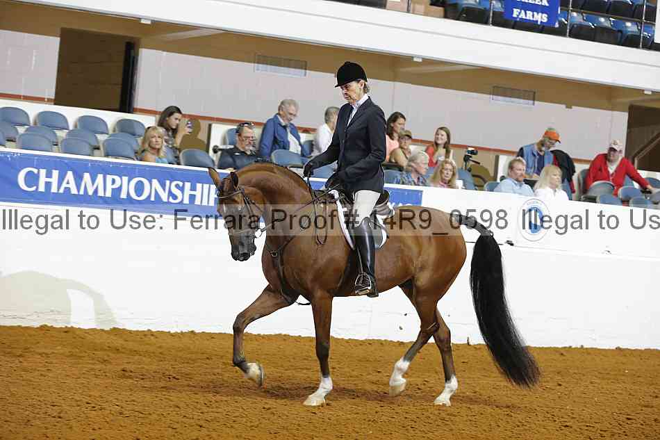 Proof 14r9_0598