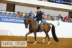 14r9_0598 proof