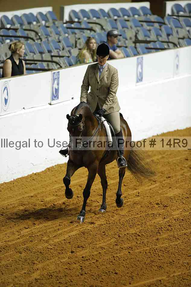 Proof 14r9_0599